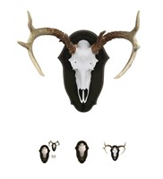do-it-yourself antler mounting plaque