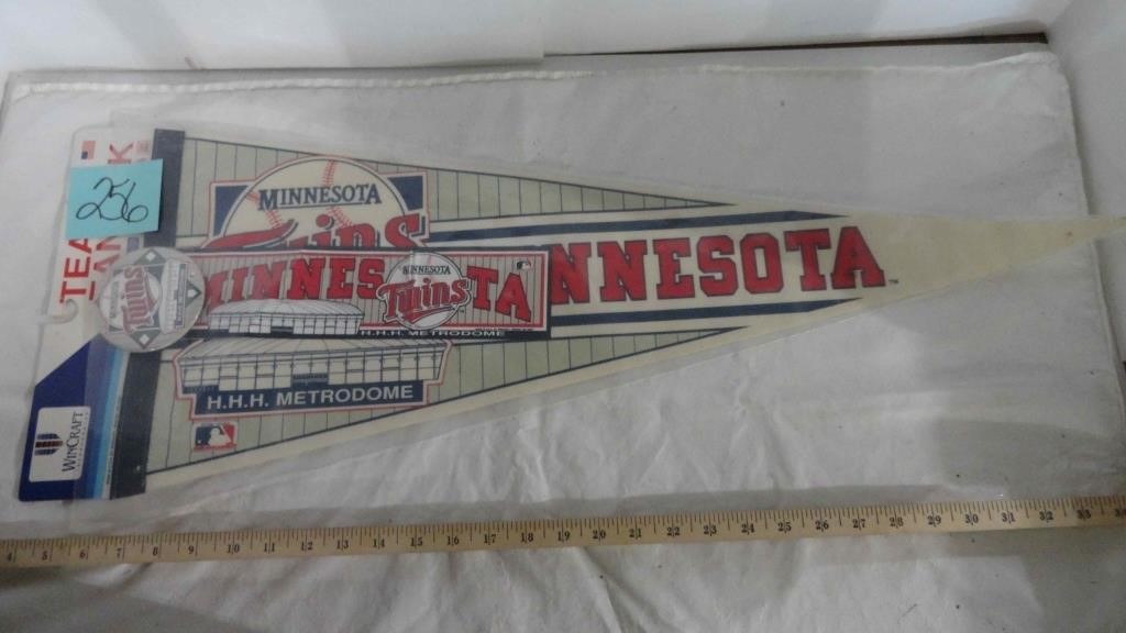 Minnesota Twins Pennant