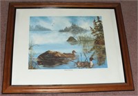 PINTAIL MORNING SIGNED AND NUMBERED PRINT