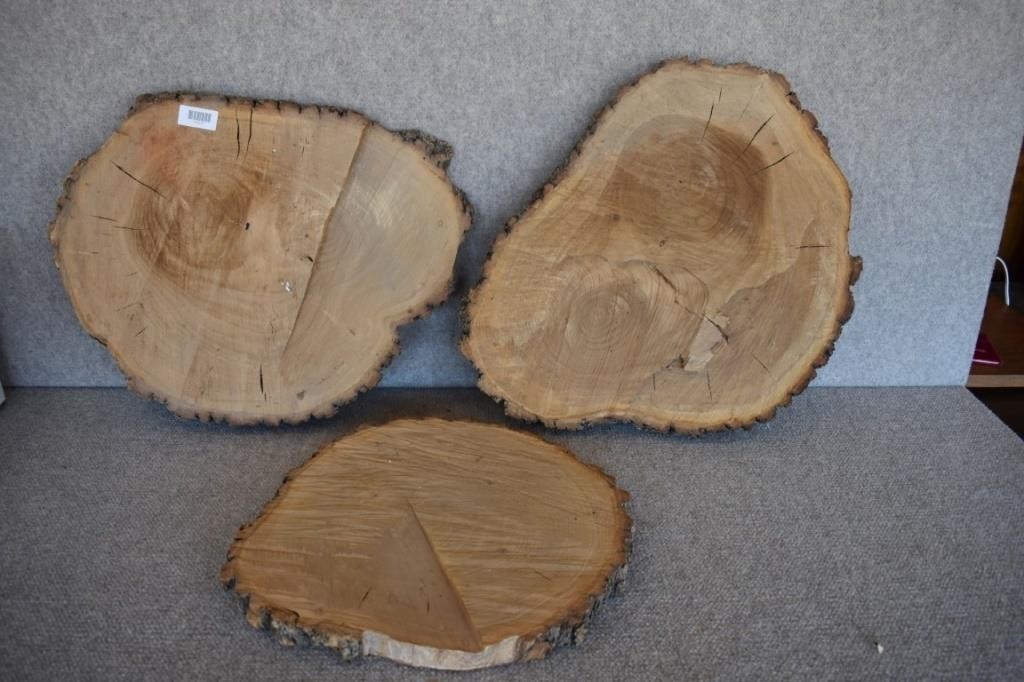 3 Large Slabs of Wood/Log with Bark