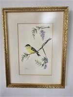 Framed Goldfinch Water Color