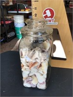 Glass jar of seashells with lid