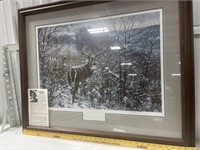 "DREAM BUCK" MICHAEL SIEVE  SIGNED NUMBERED PRINT