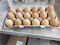 18 fresh brown eggs