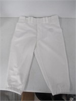 Mizuno Performance Men's Large Short Pants