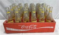 Vintage Plastic Coca Cola Bottle Carrier W/ 24