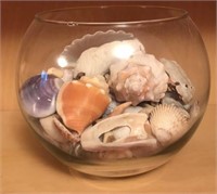 Fish bowl full of sea shells