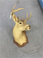 Deer Mount 21"