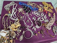 Costume jewelry.   Necklaces,  earrings,