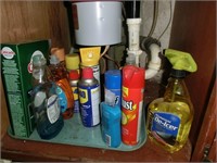 chemicals under kitchen sink