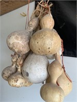Gourds used to make birdhouses