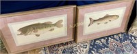 PAIR OF SIGNED & NUMBERED FISH PRINTS FRAMED