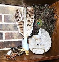 Feathers & Fossil