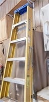 Warner 8' Ladder