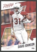 Shiny Parallel David Johnson