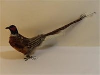 Pheasant Bird - 14"