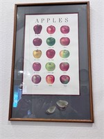 “Apple” Picture 36” x 24”