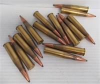 (15) Rounds of 8x56R ammo.
