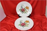A Pair of Hutschenreuther China Floral Plates