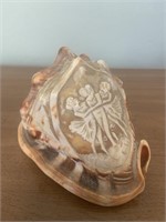 Carved sea shell