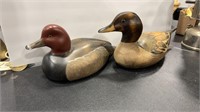 DUCKS UNLTD. & UNMARKED WOOD DUCKS