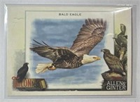 2023 Topps Allen & Ginter #TT-5 Bald Eagle!