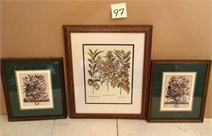 3 Floral Prints