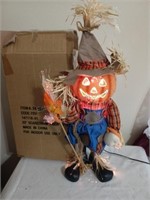 Fiber Optic Scarecrow