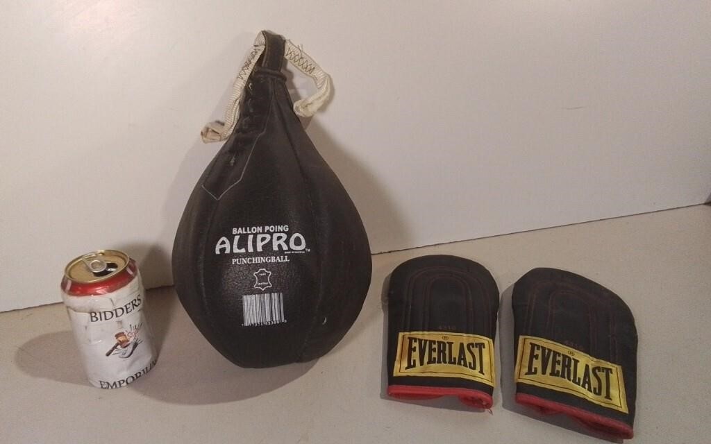 Punching Ball Speed Bag W/ Everlast Gloves