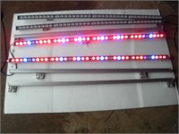 (7) 4ft Red & Blue LED UV Lights