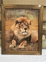 Framed Print On Board Of Lion