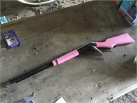 Pink Daisy BB Gun