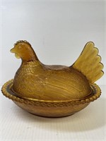 Old Golden Amber Hen On Nest hobnob rim