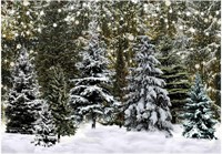 7X5ft Christmas Winter Photo Backdrop