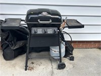 Expert gas grill