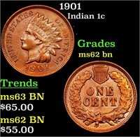 1901 Indian 1c Grades Select Unc BN