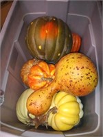 Fall pumpkins and gourds