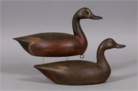 Mike Valley Pair of Blue wing Teal Duck Decoys ,