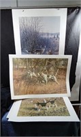 Unframed hunting prints. Most signed and numbered