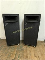 2 KUSTOM SPEAKERS