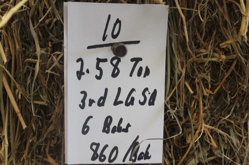 Hay, Bedding & Firewood Auction#26 (6/26/2024)