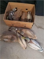 Large group of duck decoys