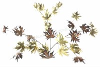 Brass Wall Decor, Leaves