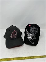 2 Baseball Caps