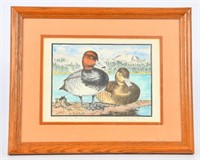 Red Head Ducks of Lake Almanor by Valerie Lerch