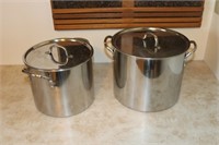 2 Large Pots