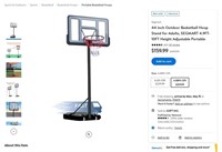 E6168  Segmart 44 In Basketball Hoop