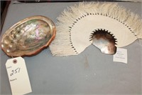 Large seashell and seashell fan