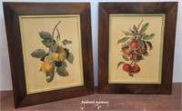 Pr fruit prints in nice pine frames -The style