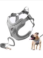 (New) SAEGYPET Dog Harness with Leash Set, No